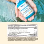 Scenit Nutrition Ashwagandha Sensoril® with  and Vitamin B3 and B5 – 100 vegan caps