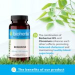 Bioherba Berberine Antioxidant(Antioksidan) 200 mg 100 caps - Görsel 5