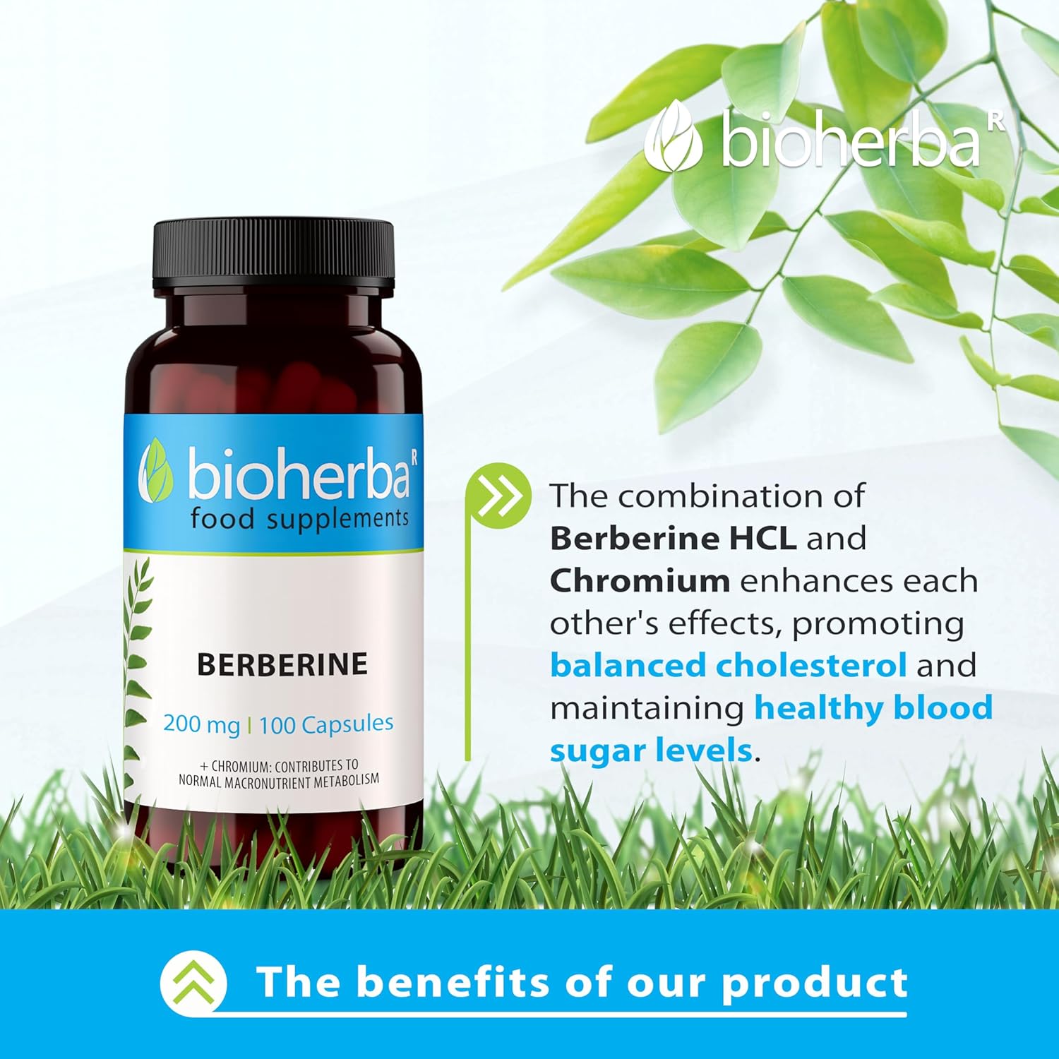 Bioherba Berberine Antioxidant(Antioksidan) 200 mg 100 caps - Görsel 5