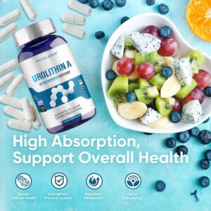VIVALIFER Urolithin A 2000 MG Antioxidant Promoting Healthy Aging  Mitochondrial Health Repair 120