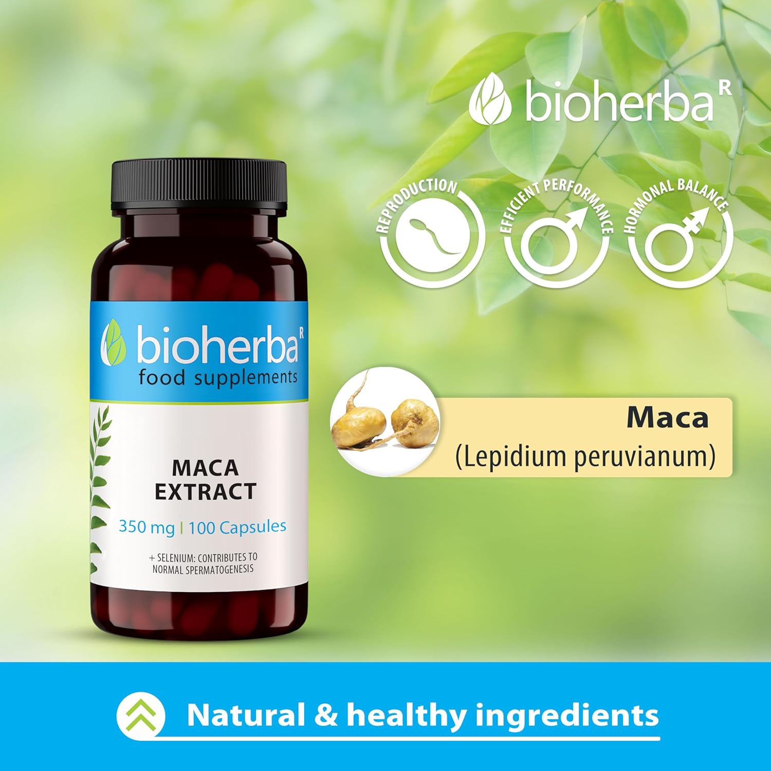 Bioherba Maca(Matcha tozu) extract+Selenium(Selenyum) 350 mg 100 caps - Görsel 6