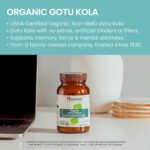 Himalaya Organic Gotu Kola Nootropic with Adaptogens for Energy, Focus, Memory Brain Cognitive 90 Caplet - Görsel 4