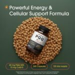 NatureBell PQQ with CoQ10 Coenzyme Brain Support 240 Caps - Görsel 2
