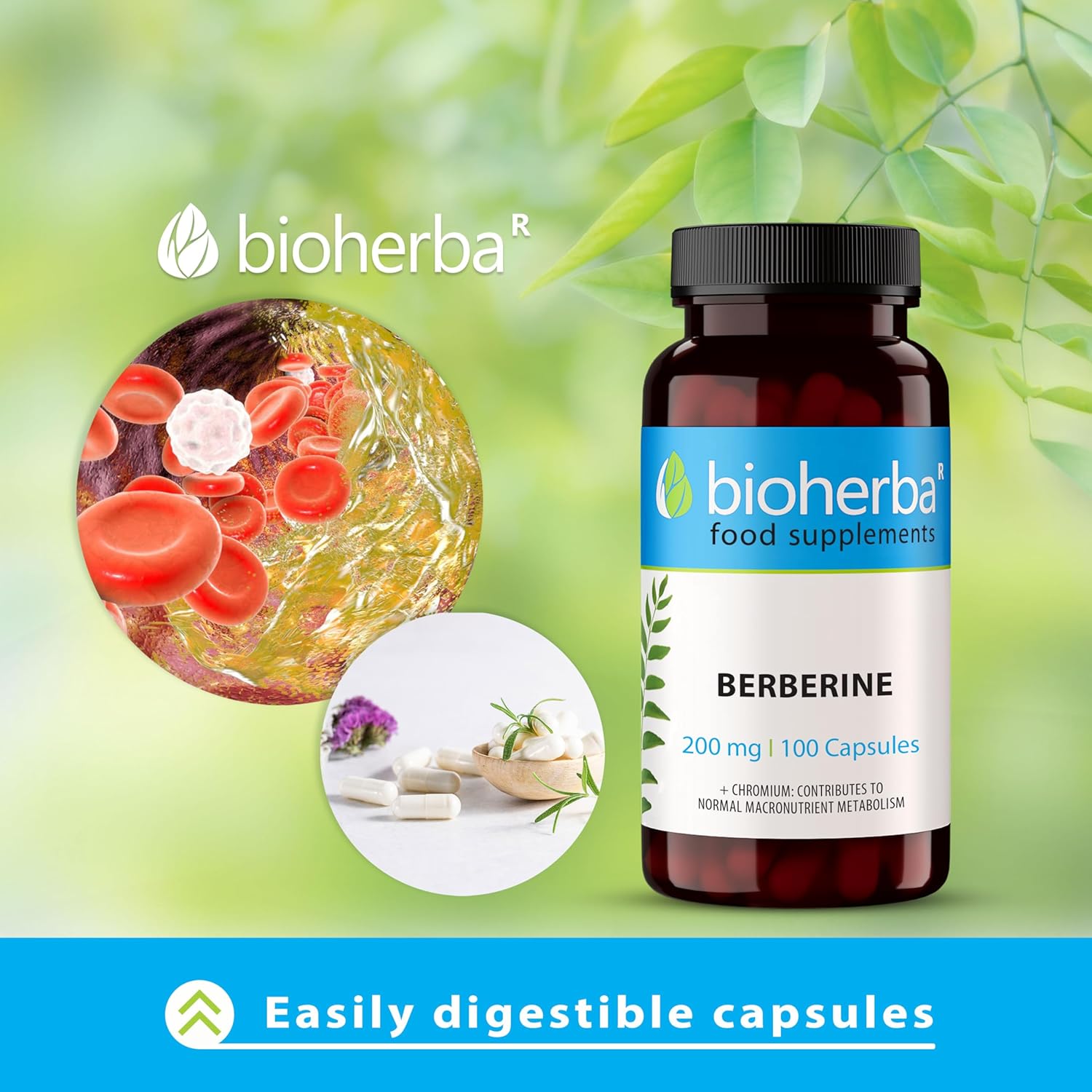 Bioherba Berberine Antioxidant(Antioksidan) 200 mg 100 caps - Görsel 3