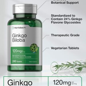 Horbaach Ginkgo Biloba Mabet ağacı ekstrat 120mg 240 Tablet Flavone Glycoside Vegetarian Gluten Free