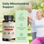VINATURA Urolithin A 500mg Urolithin A+ Antioxidants Anti-Aging & Mitochondrial Support 30 Caps - Görsel 4