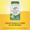 Nature's Way Gotu Kola Herb Longevity & Vitality 100 Vegan Caps