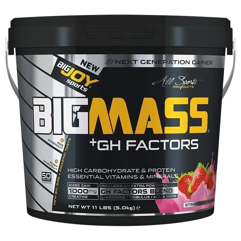 Big Joy Big Mass +GH Factors 5000 Gr - Görsel 3