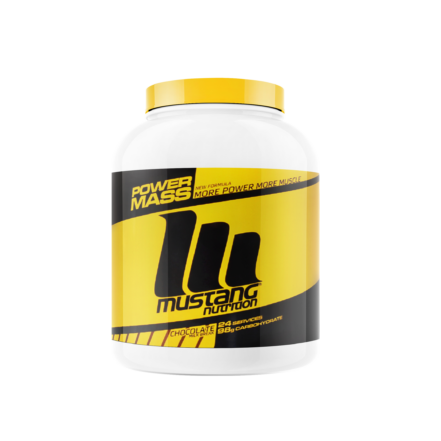 Mustang Nutrition Power Mass 2400 Gr Çikolata