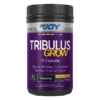 Big Joy Tribulus Grw 120 Kapsül