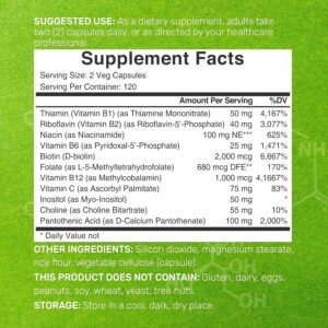 Deal Supplement Bioactive Vitamin B Complex Immune Choline İnositol Folate Energy 240 Veggie Caps