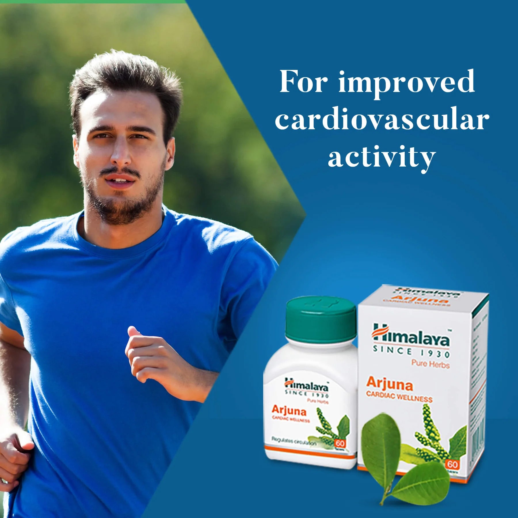 Himalaya Arjuna Vascular support Antioksidan 60 Tablet - Görsel 2