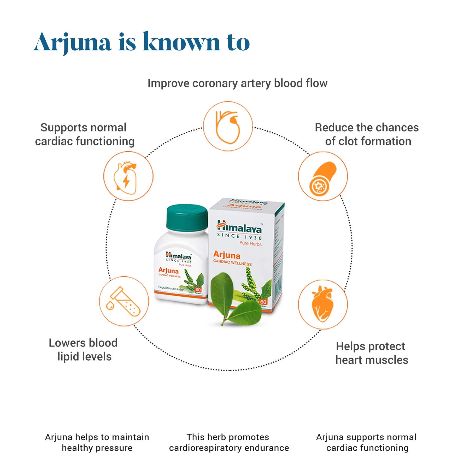 Himalaya Arjuna Vascular support Antioksidan 60 Tablet - Görsel 3