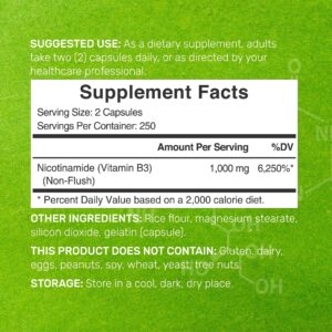 Deal Supplement Niacinamide Vitamin B3 1,000mg Per Serving, 500 Capsules - Cilt Sivılce desteği - Görsel 4