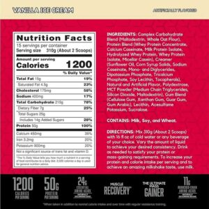 BSN True Mass 1200 Gainer 4800 Gr - Görsel 3
