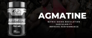 Core Champs Agmatine 750mg - Nitric Oxide Synthesis - ABD MENŞEİ FDA ONAYLI 75 Servis - Görsel 2