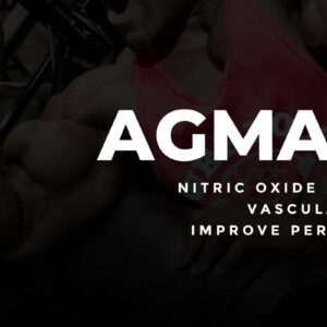 Core Champs Agmatine 750mg – Nitric Oxide Synthesis – ABD MENŞEİ FDA ONAYLI 75 Servis