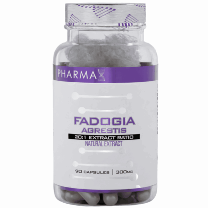 Pharma X Fadogia Agrestis 20:1 600 mg 90 caps - USA MENŞEI