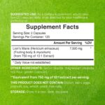 Deal Supplement Lions Mane Mushroom 7500mg Per Serving 240 Capsules - Görsel 3