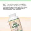 Double Wood Irish Sea Moss High in Minerals 180 Caps