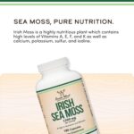 Double Wood Irish Sea Moss High in Minerals 180 Caps