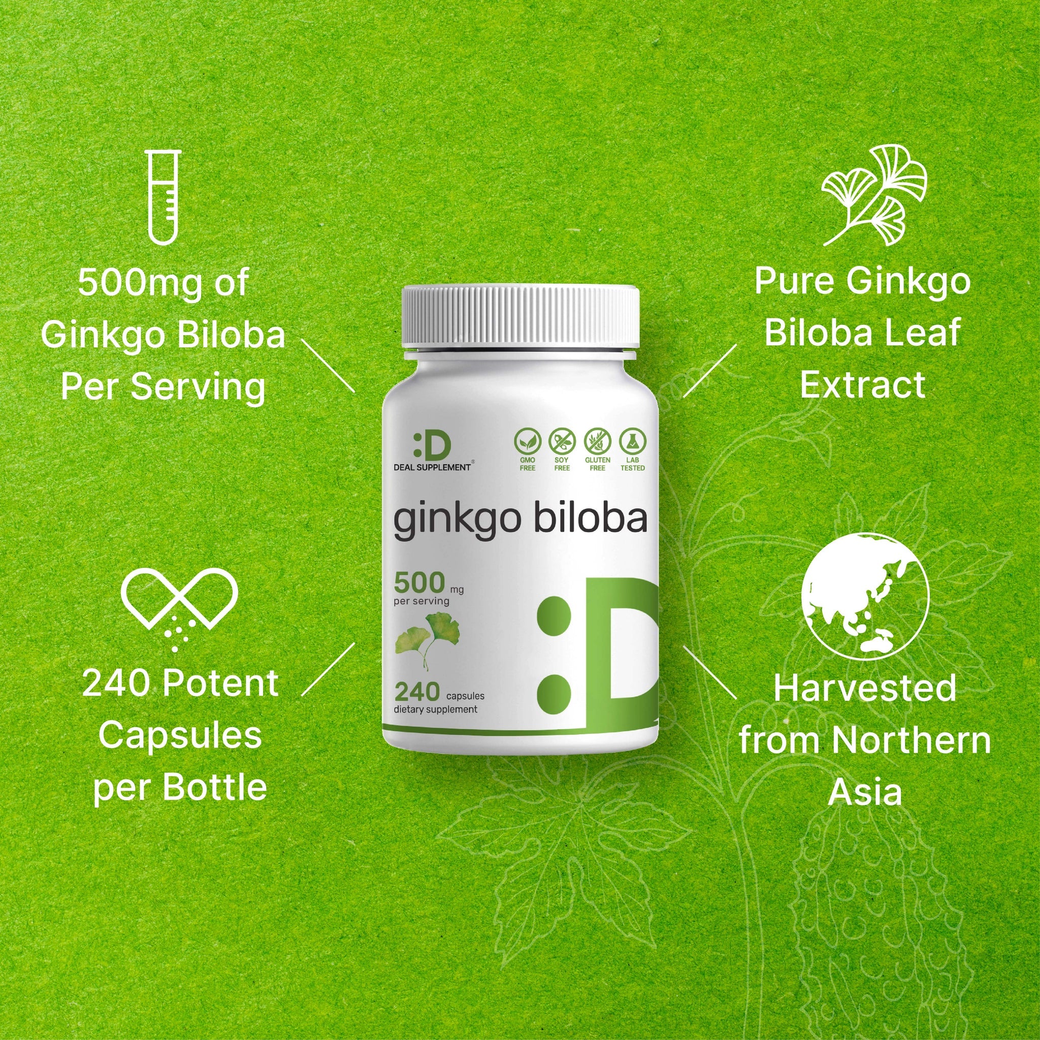 Deal Supplement Ginkgo Biloba Leaf Extract 500mg Per Serving, 240 Capsules - Görsel 3