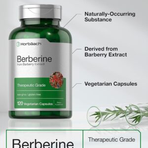 Horbaach Berberine HCL Barberry Extract 500mg 120 Caps
