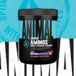 UNİVERSAL ANİMAL Juiced Aminos Bcaa + Recovery