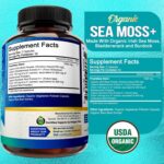 NutriFlair Organic Sea Moss 1600mg Bladderwrack Burdock Prebiotic Immune System & Digestive Health - Thyroid, Healthy Skin Keto Detox Gut 120 - Görsel 3