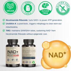 VINATURA NAD+ Nicotinamide Riboside Trans-Resveratrol TMG and Urolithin A Betaine 30 Vegan Caps