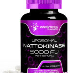 Wellnees Labs Nattokinase Supplement Capsules 5000 FU, Third-Party Tested Nattokinase – Enzymes from Japanese Natto – Daily Wellness Support – 120 Count