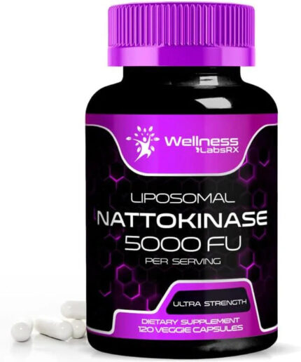 Wellnees Labs Nattokinase Supplement Capsules 5000 FU, Third-Party Tested Nattokinase – Enzymes from Japanese Natto – Daily Wellness Support – 120 Count