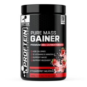 Proftein Pure Mass Gainer - Görsel 4