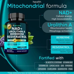 Adndale NAD Urolithin-A Berberine  Resveratrol 90 Vegan Caps