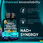 Adndale NAD Urolithin-A Berberine  Resveratrol 90 Vegan Caps - Görsel 3
