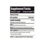 AMIX Beta-EcdyX ecdysterone Pure 90 Caps - Görsel 2