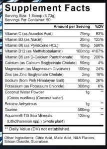 Archaneon Glacial Rush Elektrolit Pump Recovery Hydration 50 Servis - Görsel 3