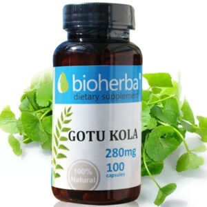 BİOHERBA GOTU KOLA 280 mg 100 capsules - Görsel 2