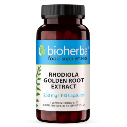 Bioherba Rhodiola Rosea With Vitamin B6 Stress Relief Mental Nervous 100 Caps