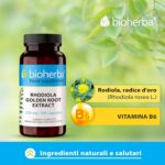 Bioherba Rhodiola Rosea With Vitamin B6 Stress Relief Mental Nervous 100 Caps - Görsel 2