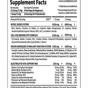 CORE LABS HYPER POWER PREWORKOUT DMHA DMAA AGMANTİNE SULFAT 388 G