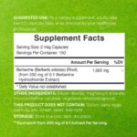 Deal Supplement Berberine 1000mg Per Serving 300 Veggie Caps - Görsel 2