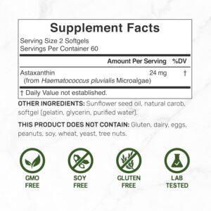 Deal Supplement Astaxanthin Antioksidan Brain Health Eyes Skin Anti-Aging 12mg 240 Mini Softgels