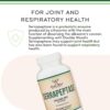 Double Wood Serrapeptase 240,000 Proteolytic Hearth Enzyme Joint Health 120 Caps