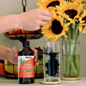 NOW Foods, Liquid Chlorophyll, Mint , 16 fl oz (473 ml) - Görsel 3