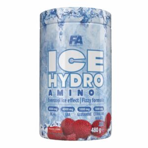 FA ICE Hydro Amino EAA+GLUTAMİN+BCAA 480 g