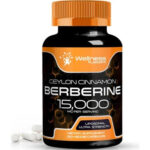 Wellnees Labs Liposomal Berberine + Ceylon Cinnamon+Turmeric + Ginseng + Ginkgo biloba 15,000mg – 120