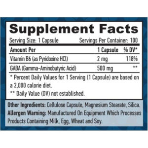 HAYA LABS GABA – B6 500 mg  100 Vcaps