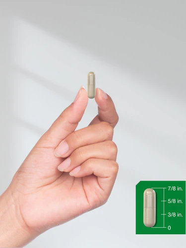Horbaach Ashwagandha Supplement 4500mg 10:1 Extract 120 Kapsül - Görsel 4