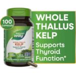 Nature's Way Kelp Whole Iodine Thyroid Thallus Greens & Superfoods 100 Vegan Caps
